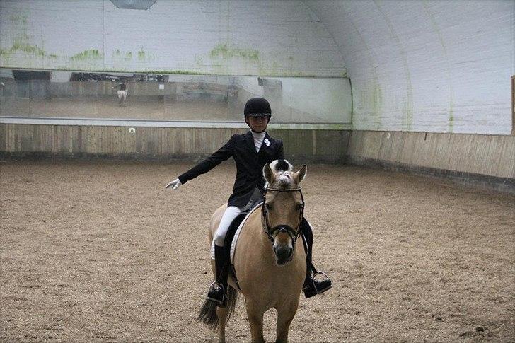 Fjordhest Florian Skovå - farvel og tak for at i ville kigge med! læg gerne en bedømmelse!!:D billede 16