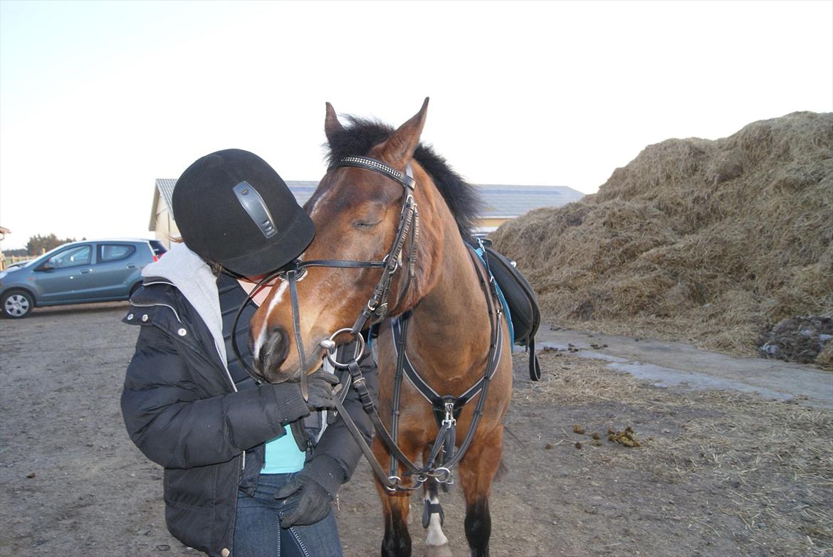 Anden særlig race Kojack | pony <3 | - Vi springer nok ikke S, eller ridder MA i dressur. Vi vinder aldrig noget.
Men en ting har du vundet.

Er mit hjerte!♥

Foråret 2012.

Foto: ECN © billede 6