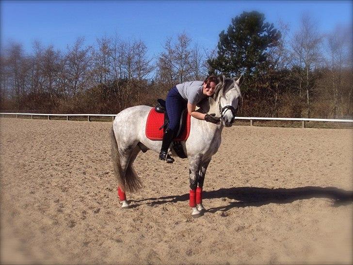 New Forest Rødtjørns Geronimo - <3 <3
Foto: Lea S billede 18