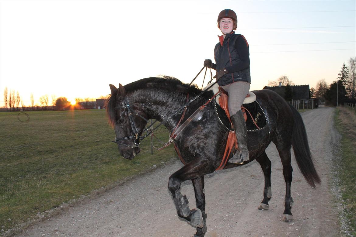 Dansk Varmblod Mahjong  - Elsker dette billede, vi er begge vild lalleglade xD.. billede 9