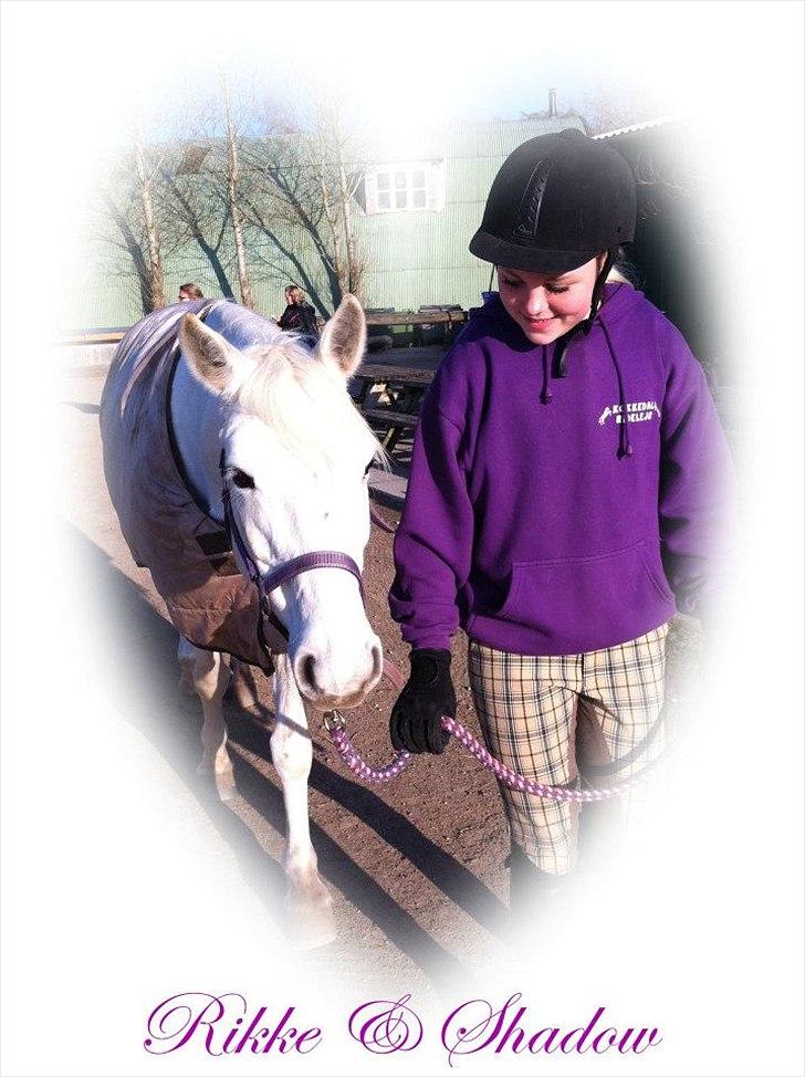 Anden særlig race Shadow (Part) - April 2012♥♥♥ billede 13