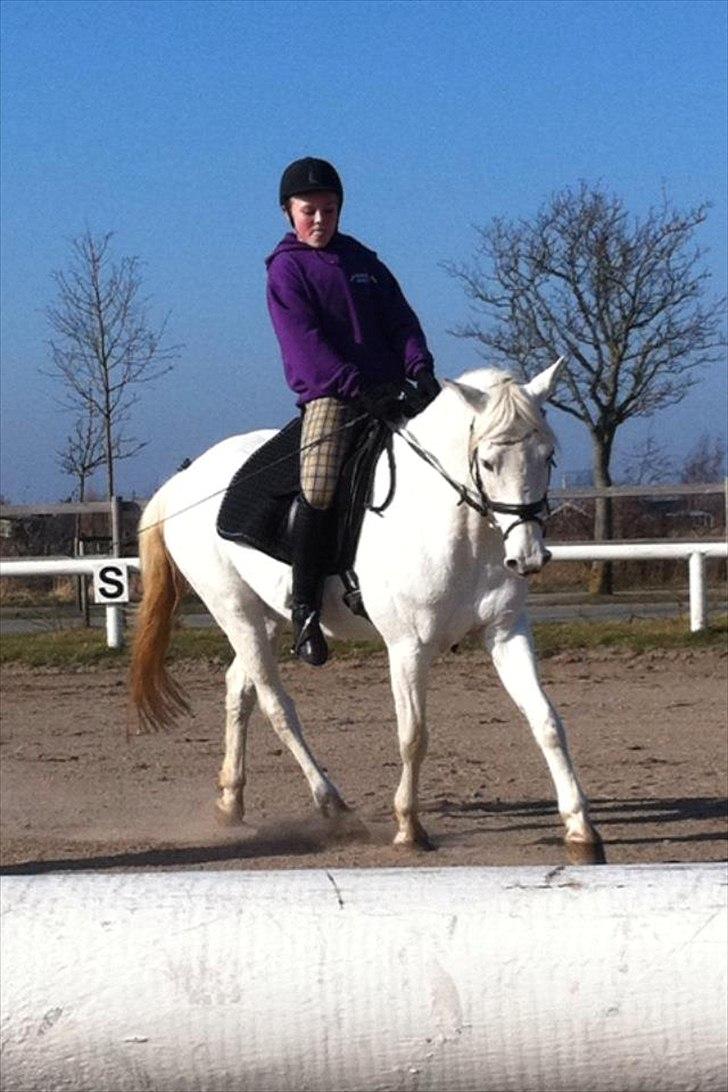 Anden særlig race Shadow (Part) - April 2012.
Hun er blevet rigtig dygtig♥♥ billede 12