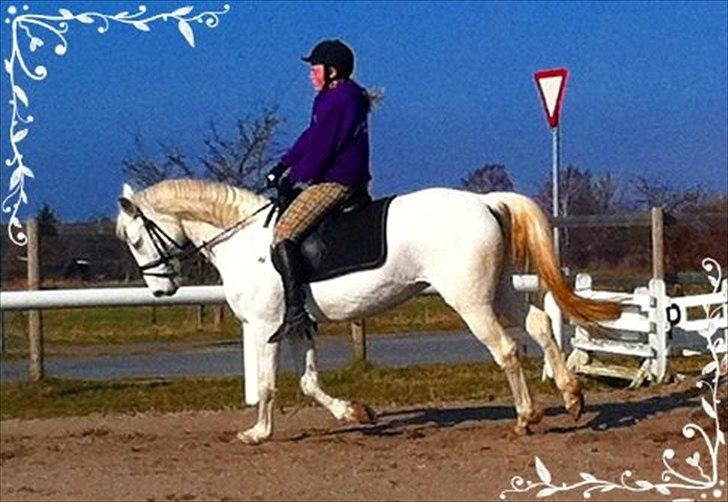 Anden særlig race Shadow (Part) - April 2012♥ billede 14