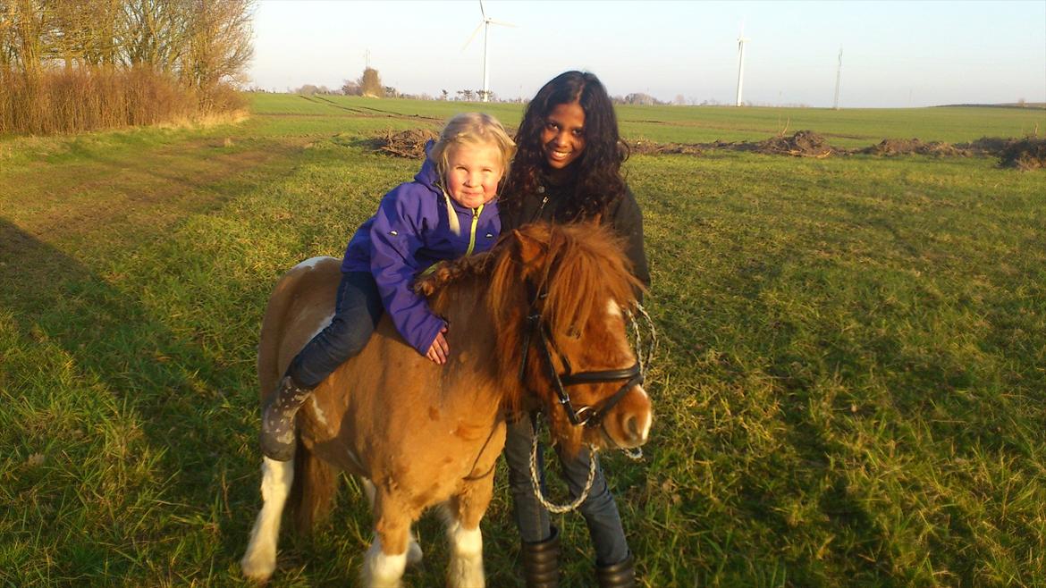 Anden særlig race Hugo - Min lille kusine på 7 år sider på Hugo uden sadel og tøjler :-) billede 9