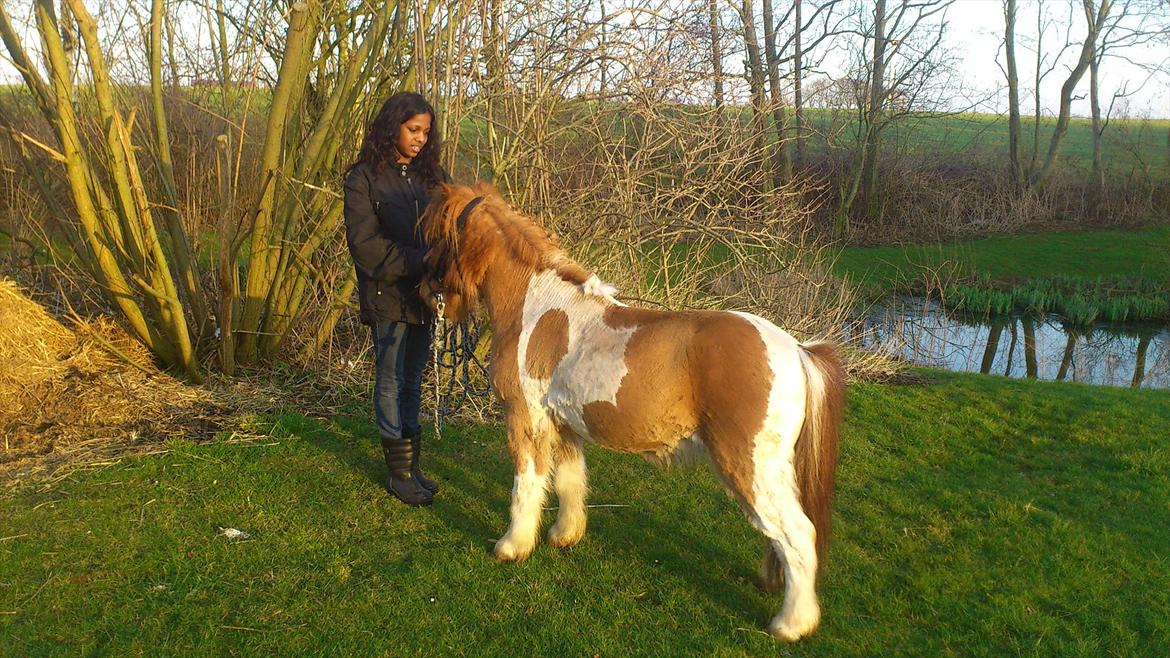 Anden særlig race Hugo - Et billede i fuld størrelse sammen med mig:-) hans hoved er desværre dejret :-( 
Jeg er super glad for min søster vil ride dig :i billede 10