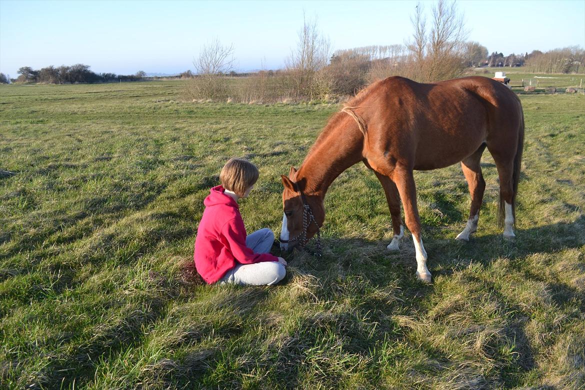 Anden særlig race Aichah - 23 marts 2012 :* elsker diig mulle<3
 billede 10