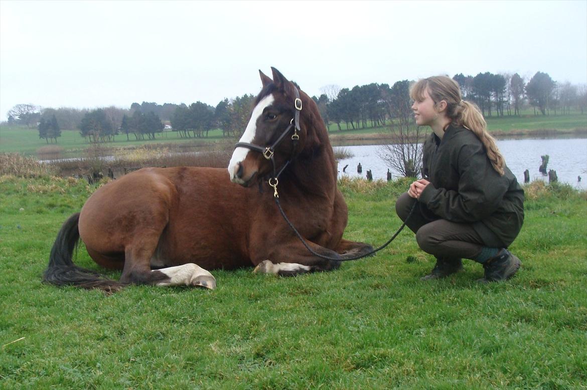 Pinto Vognbjergs Picasso billede 13