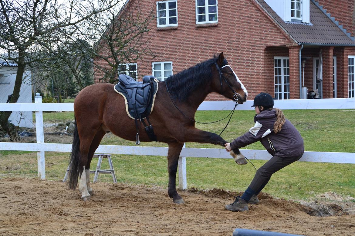 Pinto Vognbjergs Picasso billede 8