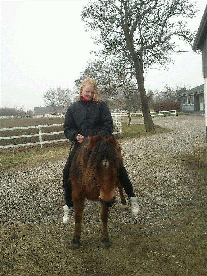 Anden særlig race lille  trixi billede 7