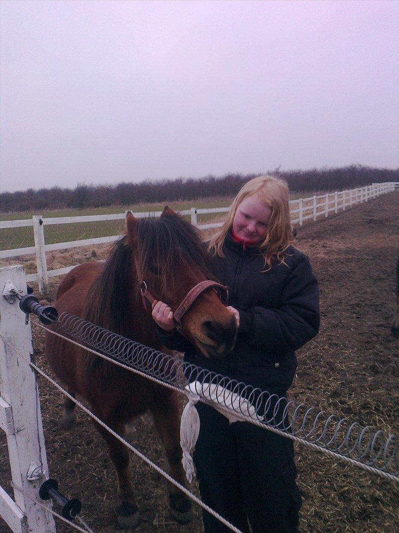 Anden særlig race lille  trixi billede 5