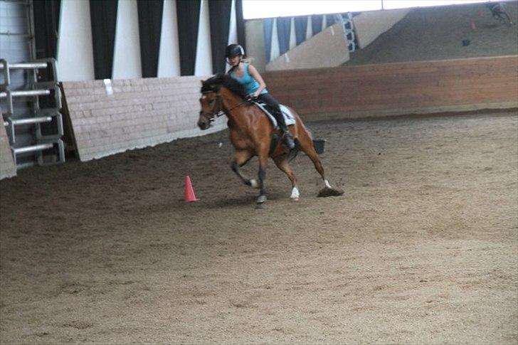 New Forest Orchid's Ringo - Fuld fart i ponygames! Vi vinder, vi vinder!! billede 8