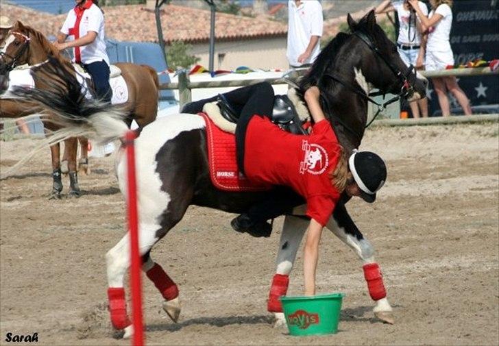 Lewitzer Gaspaspon II - Europamesterskabet med det Danske u17 Landshold 2009 i Frankrig :) billede 8