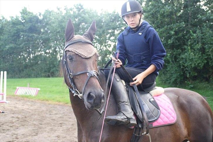 Oldenborg Murmann's Pil - inden spring :P billede 8