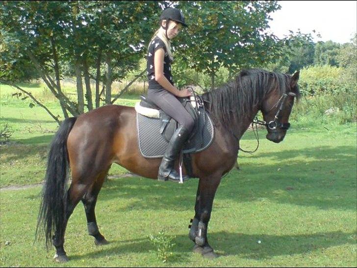 Oldenborg Murmann's Pil - da jeg lige havde redet hende til xD billede 12