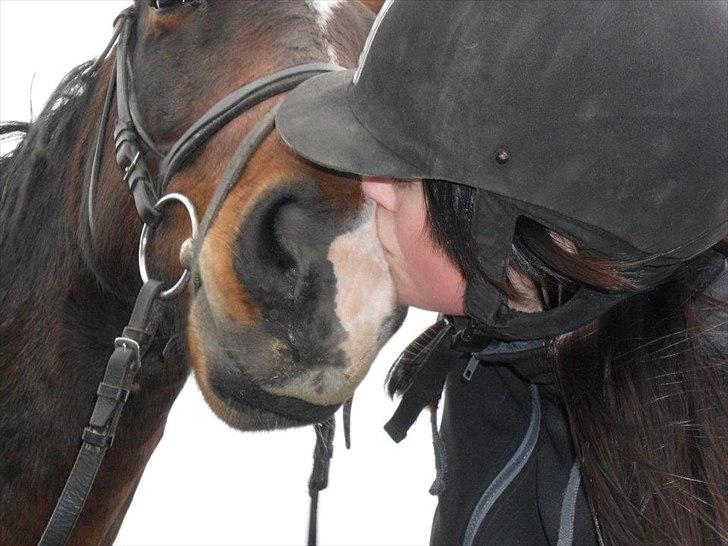 Connemara Limelight billede 7