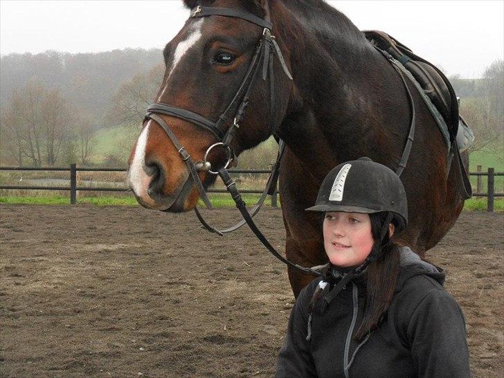 Connemara Limelight billede 9