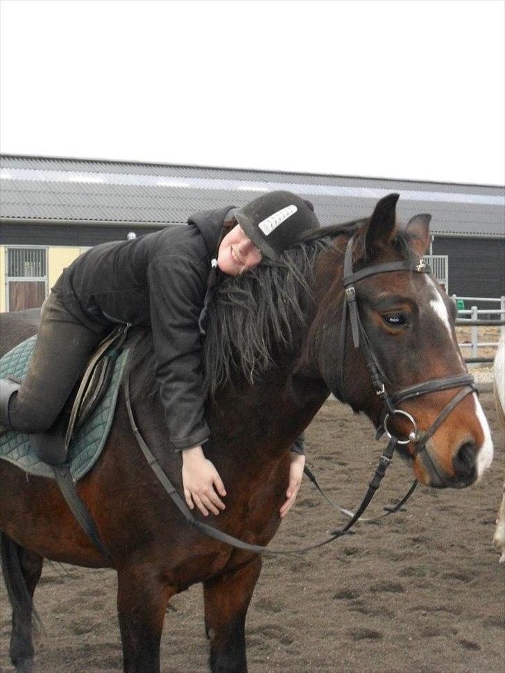 Connemara Limelight billede 10