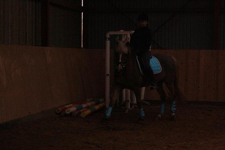 DSP BJ´S Eisia  - Lidt ristet billede, love you hon!<3 billede 11