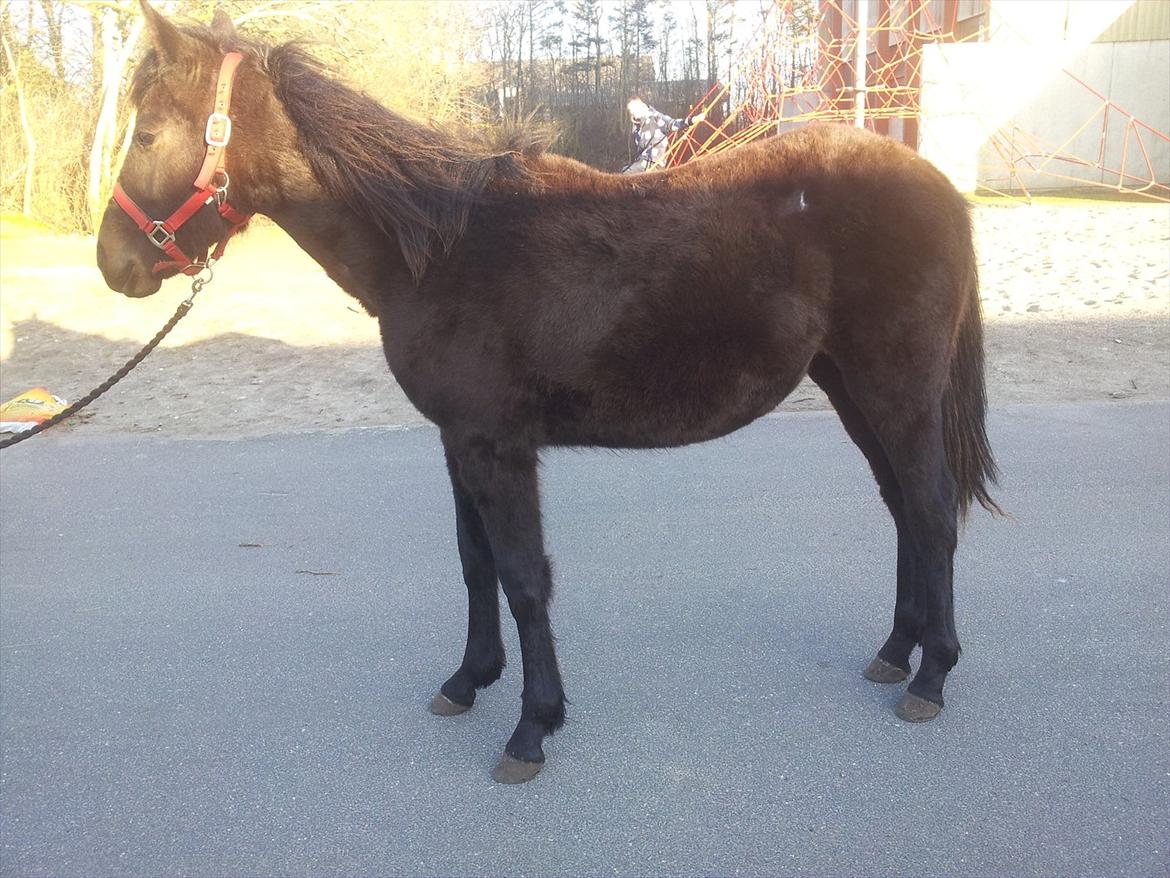 Traver Ups Money billede 2