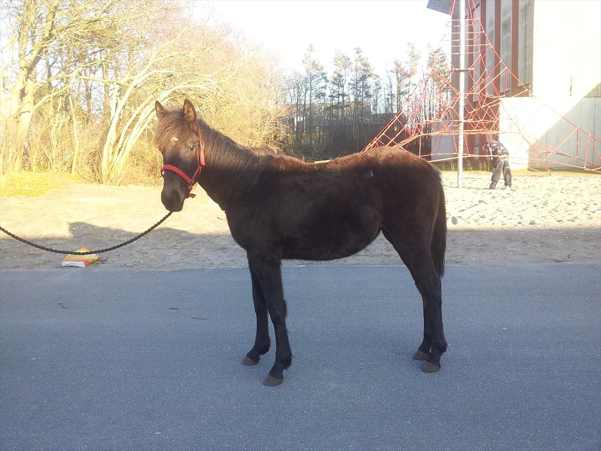 Traver Ups Money billede 3