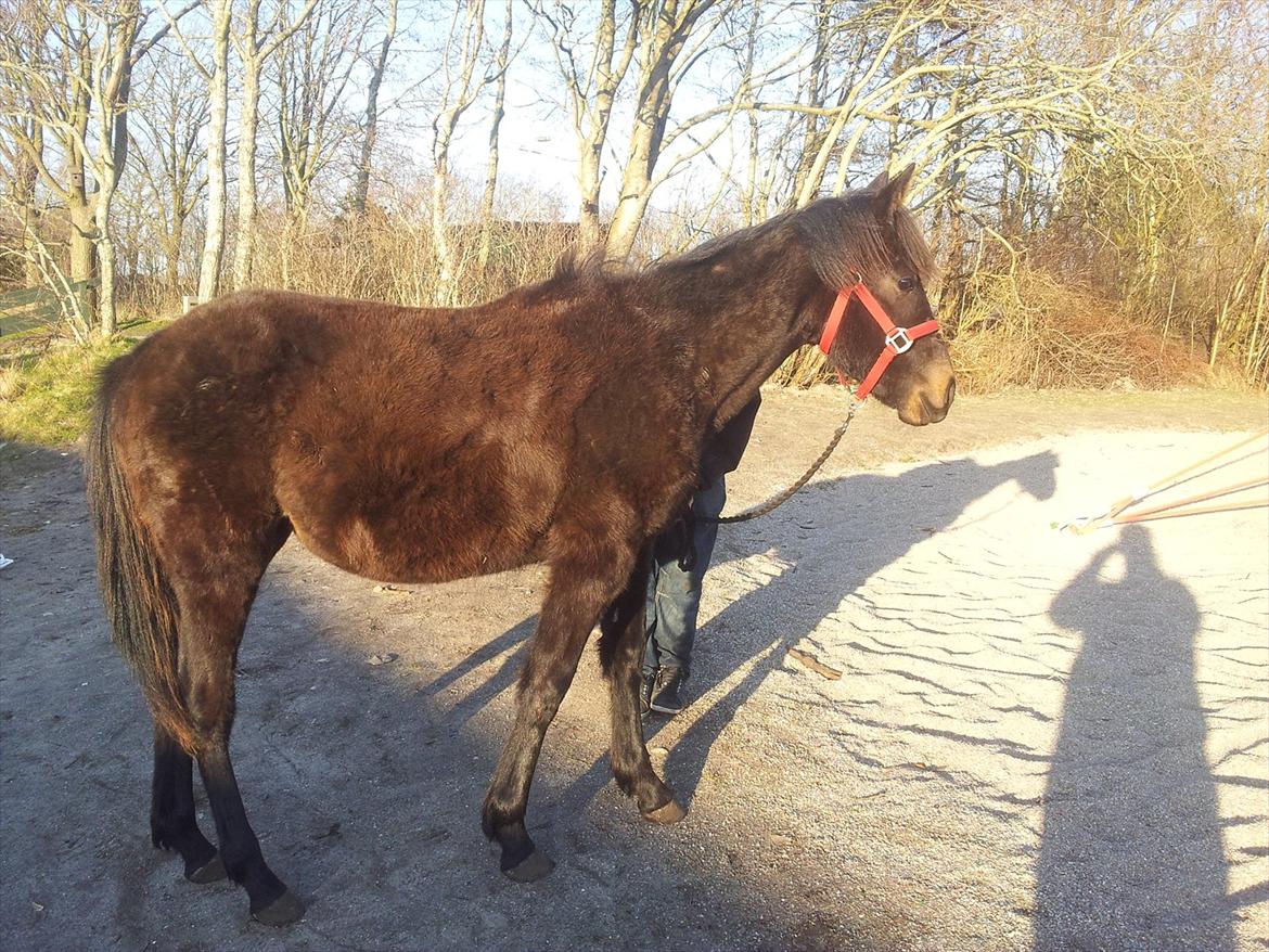 Traver Ups Money billede 4