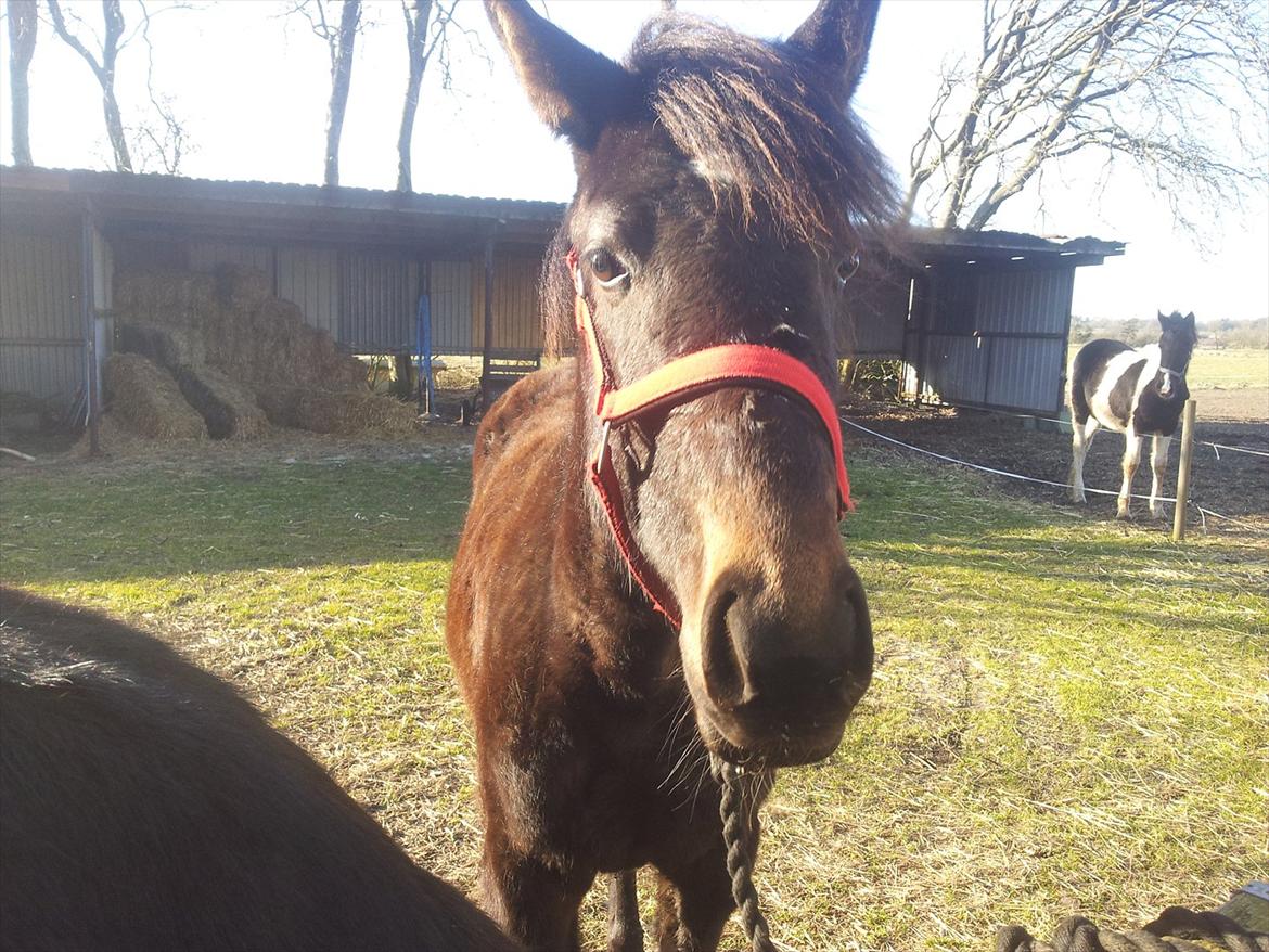 Traver Ups Money billede 6