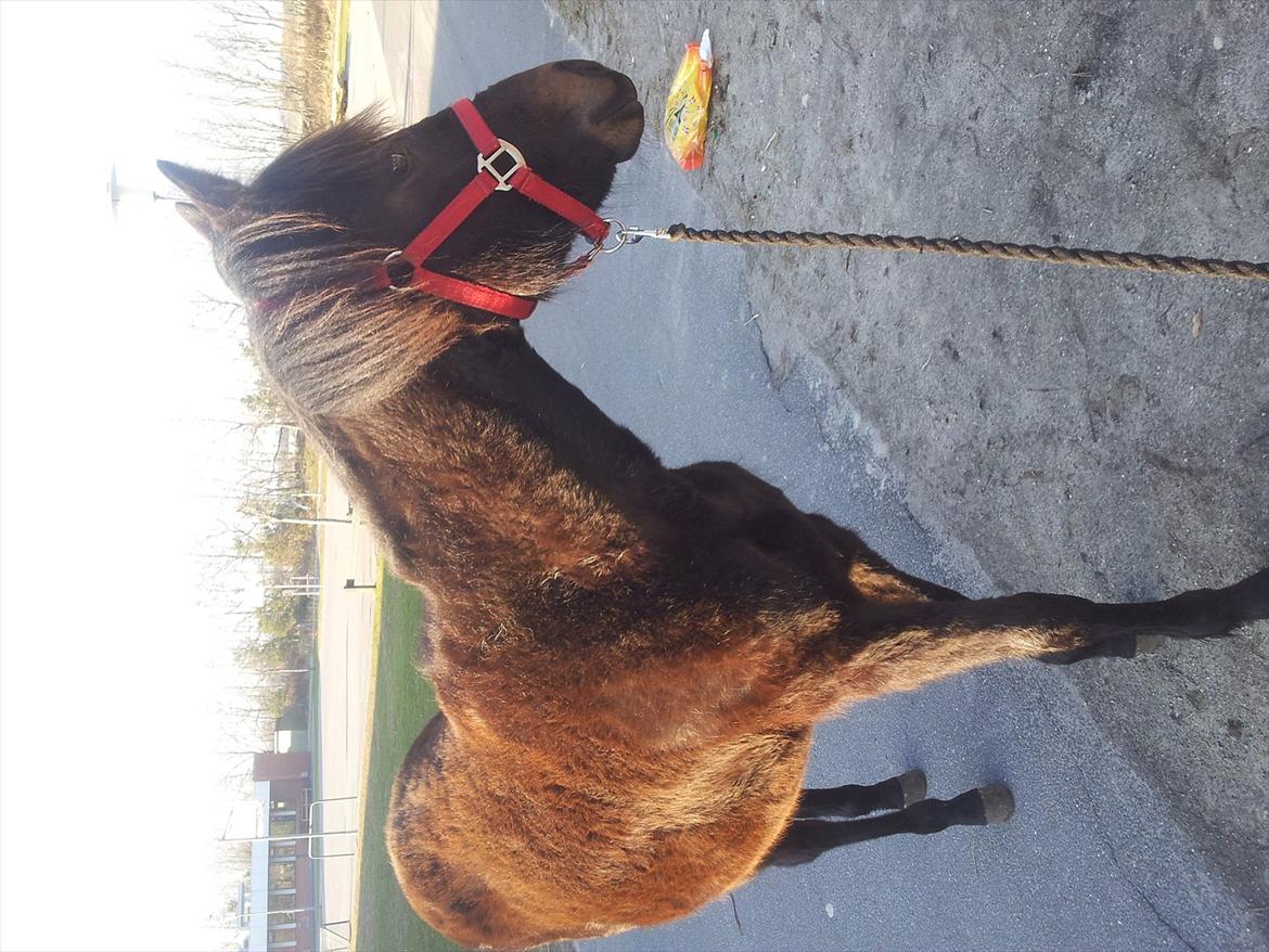 Traver Ups Money billede 9