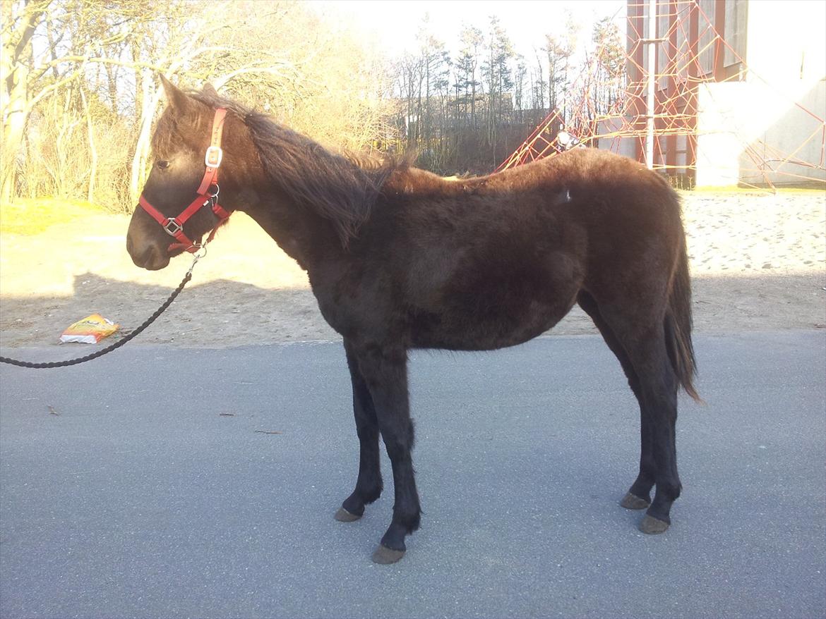 Traver Ups Money billede 10