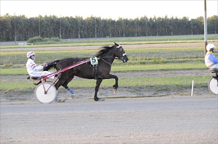 Traver Basse *Dixi Stenbäck* - Go Basse dx' billede 12