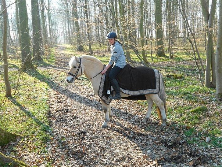 Fjordhest Pepsi Pony - lPeps <3l - 10) I skoven  med Emma og Tori <33
Foto: Emma ;D billede 10