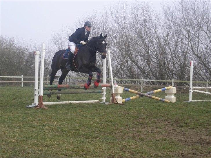 Oldenborg Siegård's flexness - Flexness og jeg til military stævne i NLR den 24/03-2012 i U-CNC70 springopvarmning :D billede 3