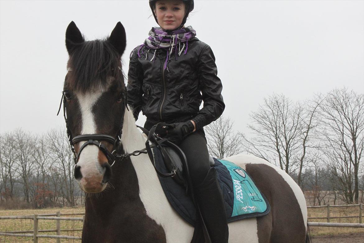 Pinto Kobjerggård's Pessoa - Min dreng <3<3 

Fotograf: Karoline Ryberg <3<3

 billede 1