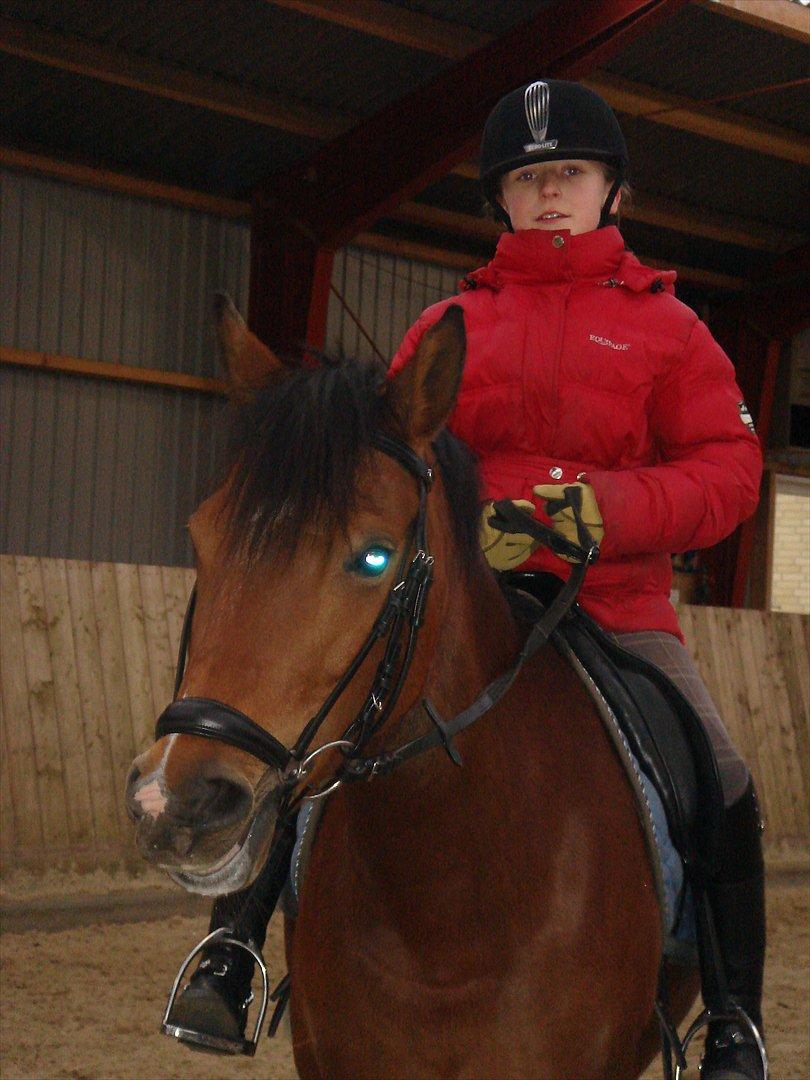 DSP Bæklunds Anizette - Hejsa! siger mubæ!;D billede 14