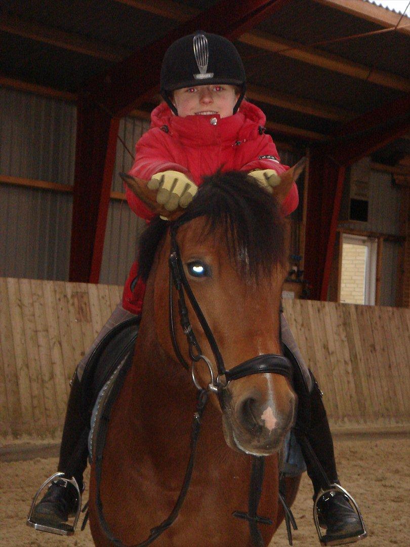 DSP Bæklunds Anizette - Taak fordi i kiggede med!;D billede 20