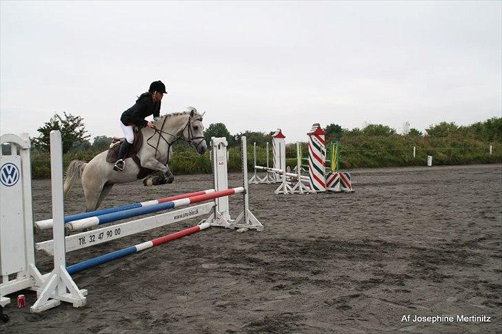 Anden særlig race Bounty - 2. plads <3 billede 13