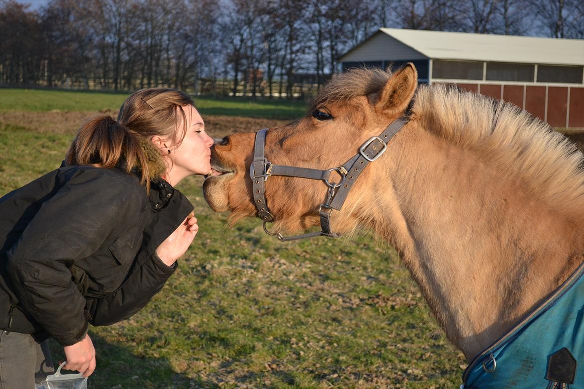 Anden særlig race Perle (Trænede/Red) - Myyyyyyys :-*
Foto: JL-FOTO. billede 20