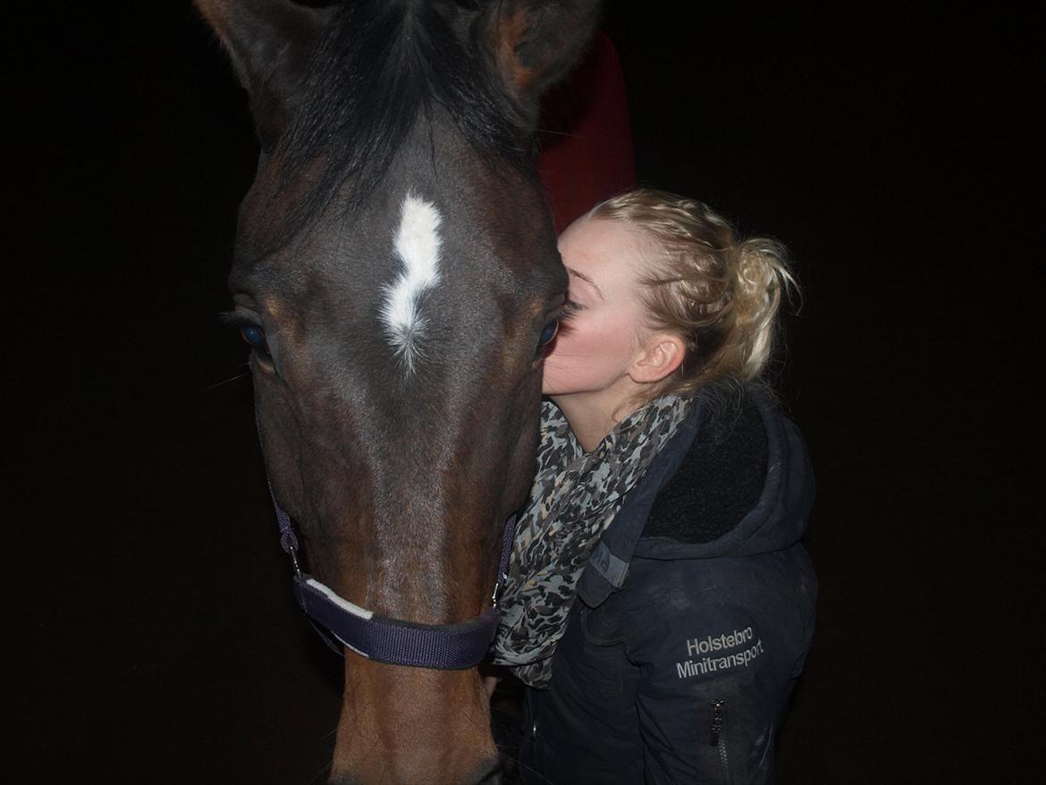 Holstener Dumbledore - I know there's no need for me to panic, cause i'll find him, i'll find him next to me billede 4