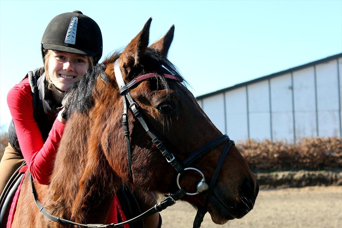 Tysk Sportspony Arking Jump.  - Bullerhesten. - Det smukkeste i verdenen, er det du holder tættest på hjertet. 



Foto: Helena Futtrup med mit kamera. billede 12