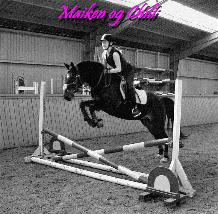 Anden særlig race Chili In Action - Maiken og Chili. d. 25.03.2012 billede 9