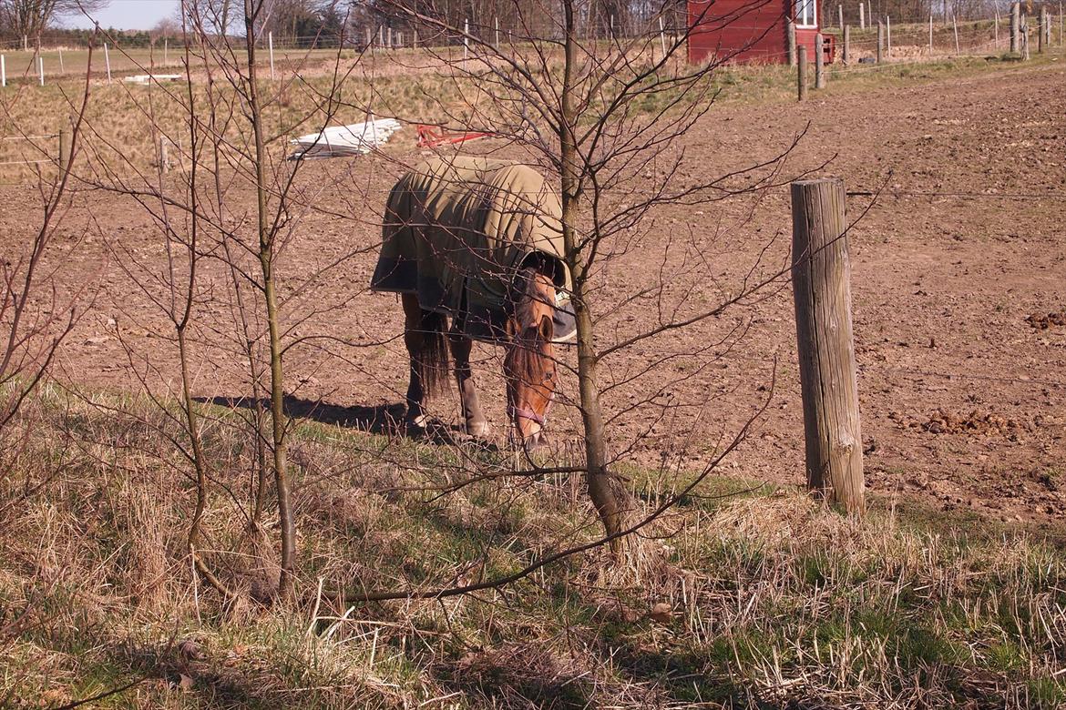 Anden særlig race Dosty - Så rolig, og afslappende <3 billede 17