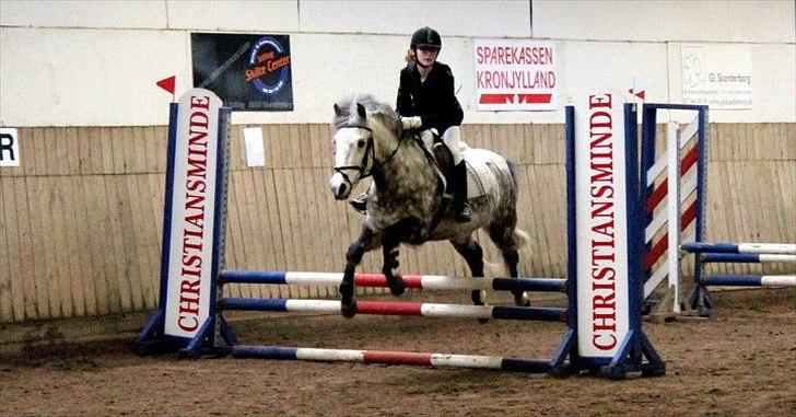 Anden særlig race Silver Moon - *Delle* <3 - ULC i midtjysk cup afd. 1, 18. marts

0 fejl + bedste tid <3<3

Foto: Amanda billede 10