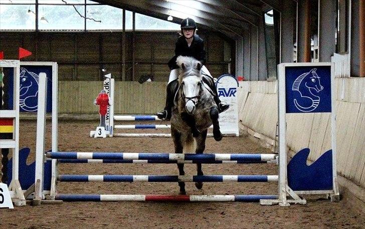 Anden særlig race Silver Moon - *Delle* <3 - ULC <3

0 fejl + bedste tid <3

Foto: Amanda billede 2