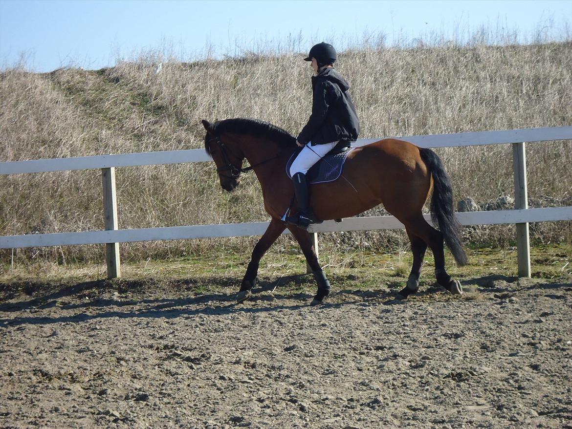 Anden særlig race starlight (R.I.P) <3 - mig og starlight 25/03-12 billede 10