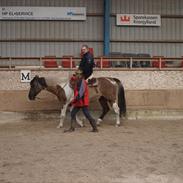 Paint Kibler's Elvira