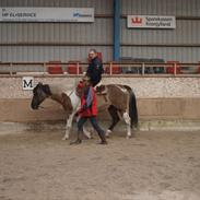 Paint Kibler´s Elvira