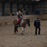 Paint Kibler´s Elvira