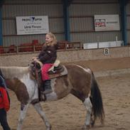 Paint Kibler´s Elvira