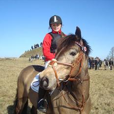 Anden særlig race Mescalero *mit et og alt*savnet  'R.I.P'