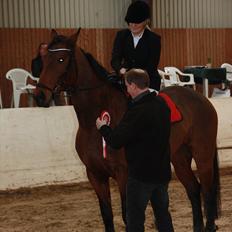 Anden særlig race Greta Alfarvad Z