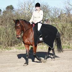 Anden særlig race Greta Alfarvad Z